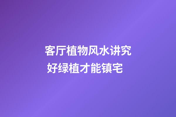 客厅植物风水讲究 好绿植才能镇宅